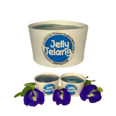 GUDEP WIRAUSAHA - JELLY TELANG