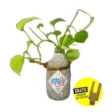 GUDEP WIRAUSAHA - SUKA BUNGA