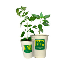 GUDEP WIRAUSAHA - SANG BIBIT