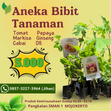 Gudep Wirausaha - Bibit Tanaman