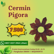 Gudep Wirausaha - Cermin Pigora