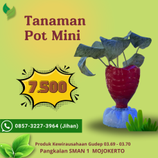 Gudep Wirausaha - Tanaman Pot Mini