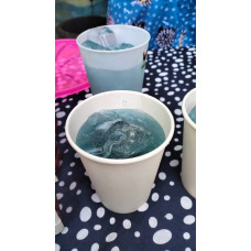 Gudep wirausaha - Es Silang (Sirup Telang)