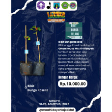 Wirausaha gudep_bibit bunga Rosella