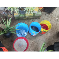 Gudep Wirausaha - Pot Cantik 