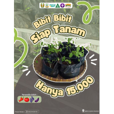 Gudep Wirausaha - Bibit Siap Tanam