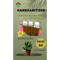 Hand Sanitizer Sansiviera