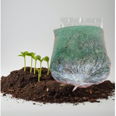 Media tanam Daun Kering