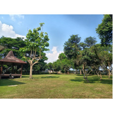 Buper Scout 1331