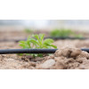 Smart and Green Farming